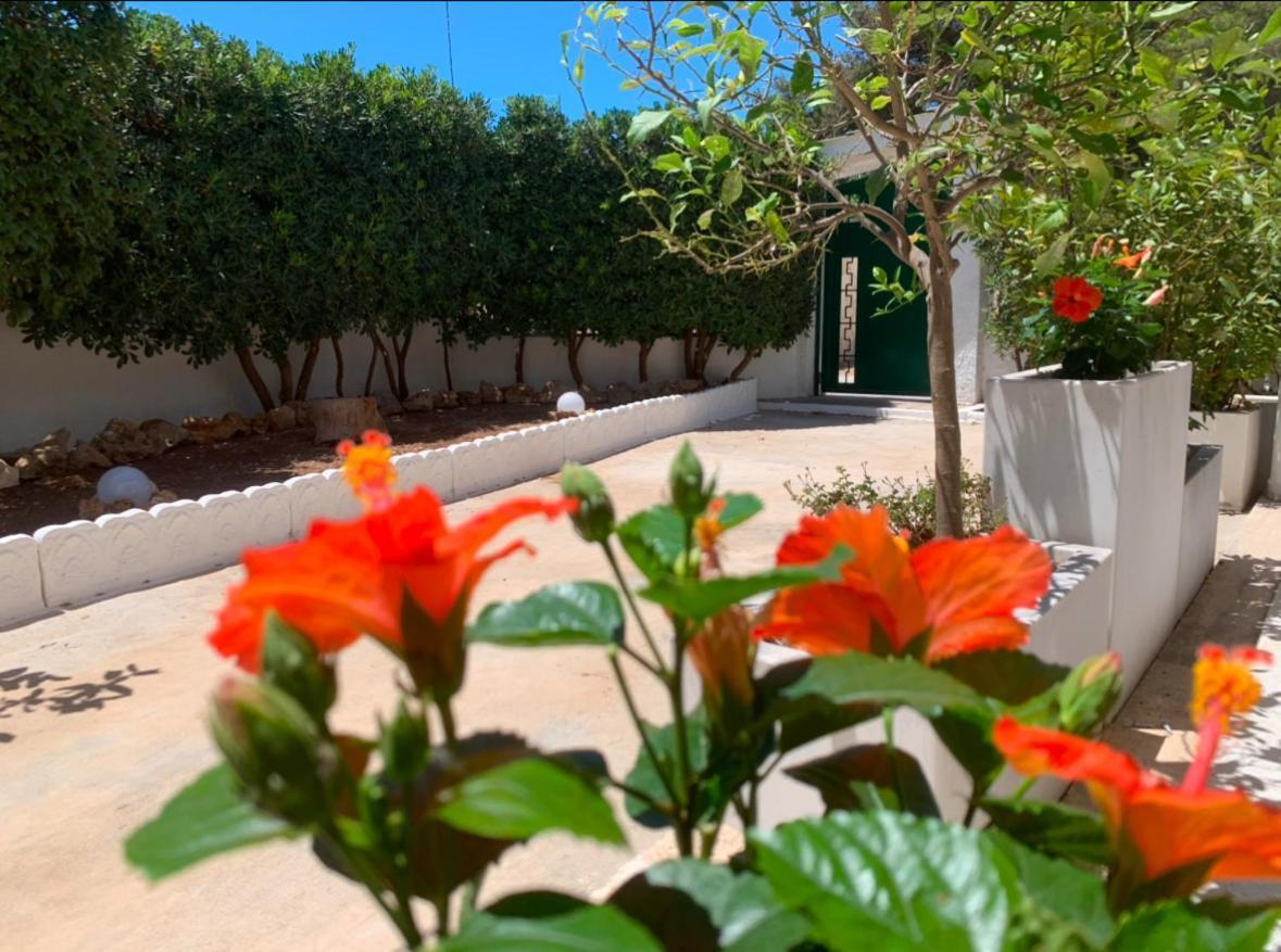 Villa Lucia Maruggio Buitenkant foto